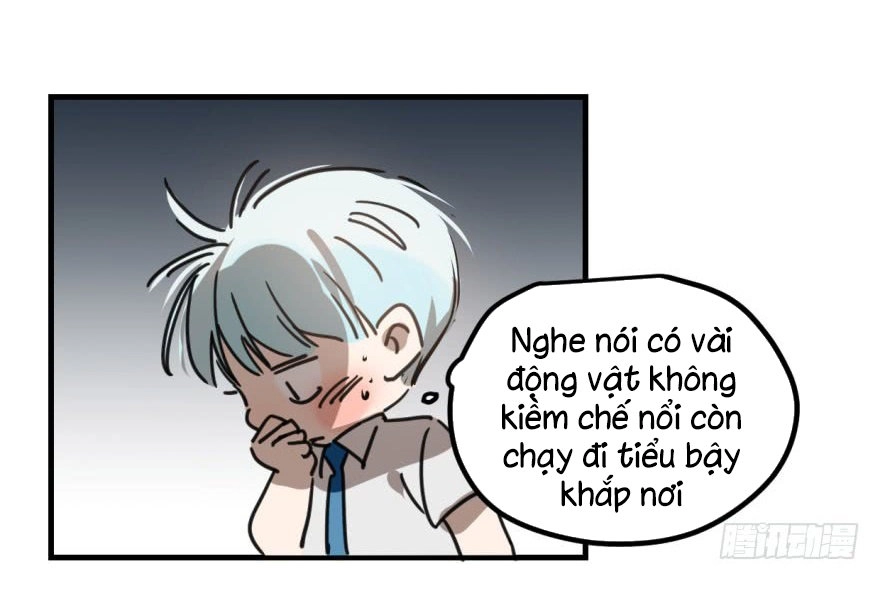 Truy Bắt Ngao Ngao Chapter 11 - 26