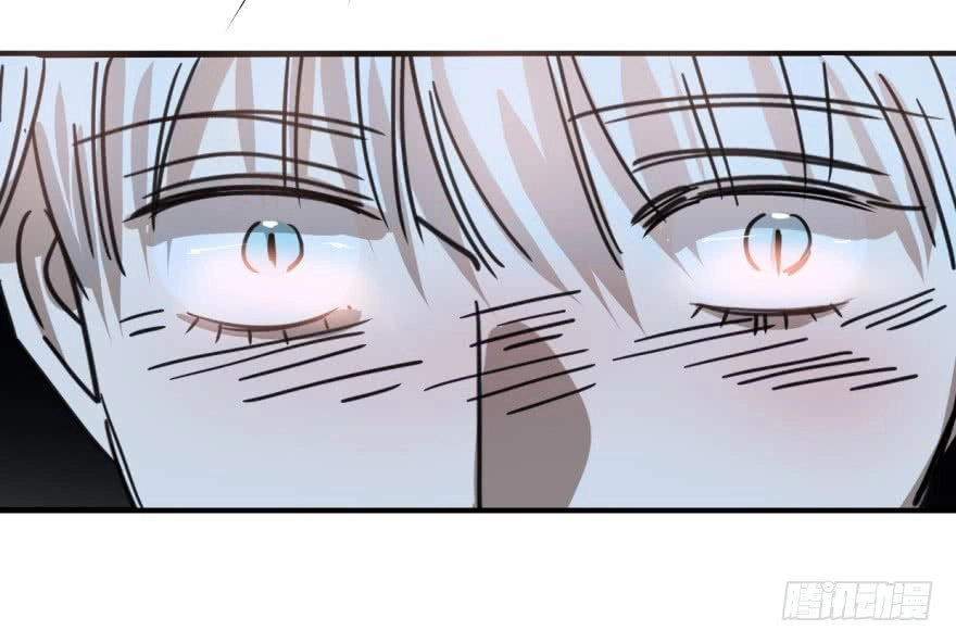 Truy Bắt Ngao Ngao Chapter 12 - 41