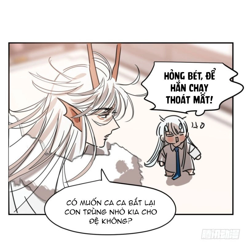 Truy Bắt Ngao Ngao Chapter 15 - 11