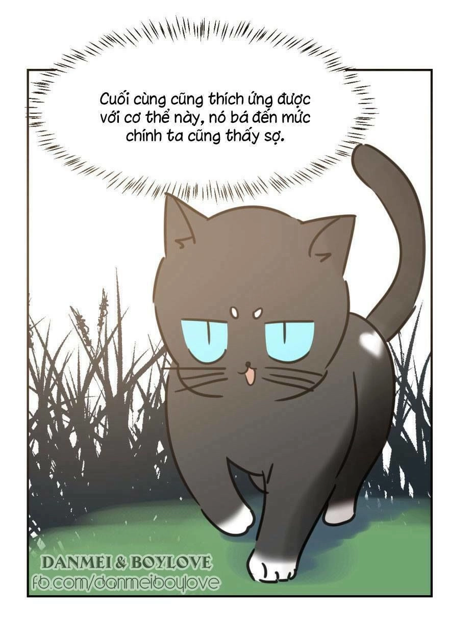 Truy Bắt Ngao Ngao Chapter 25 - 37