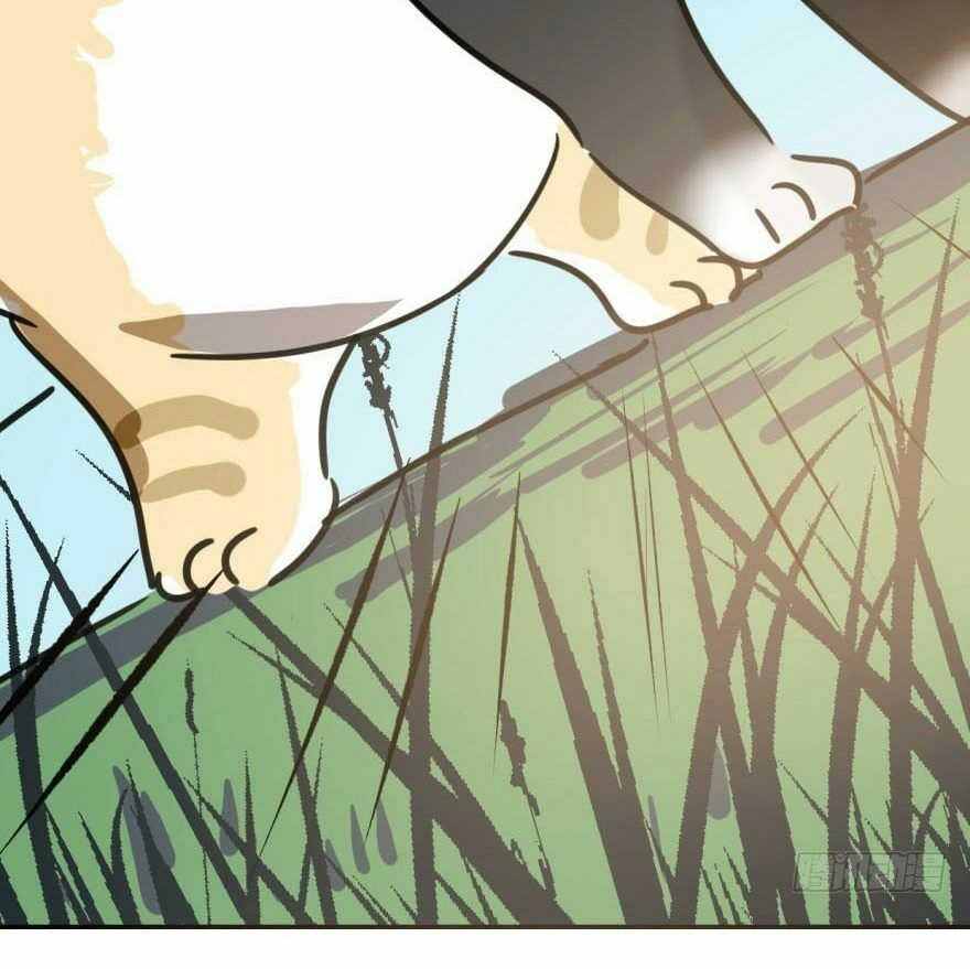 Truy Bắt Ngao Ngao Chapter 25 - 44