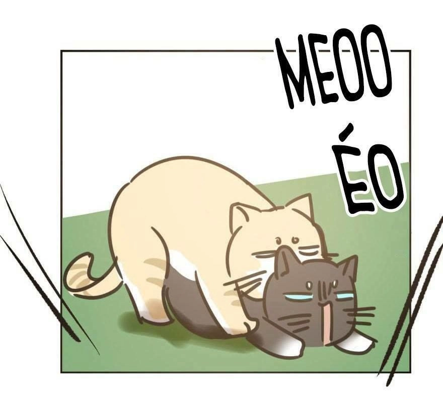 Truy Bắt Ngao Ngao Chapter 25 - 45