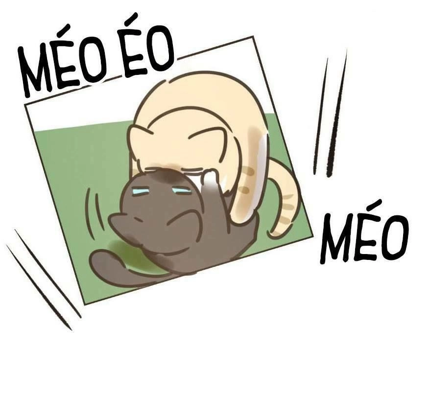 Truy Bắt Ngao Ngao Chapter 25 - 46