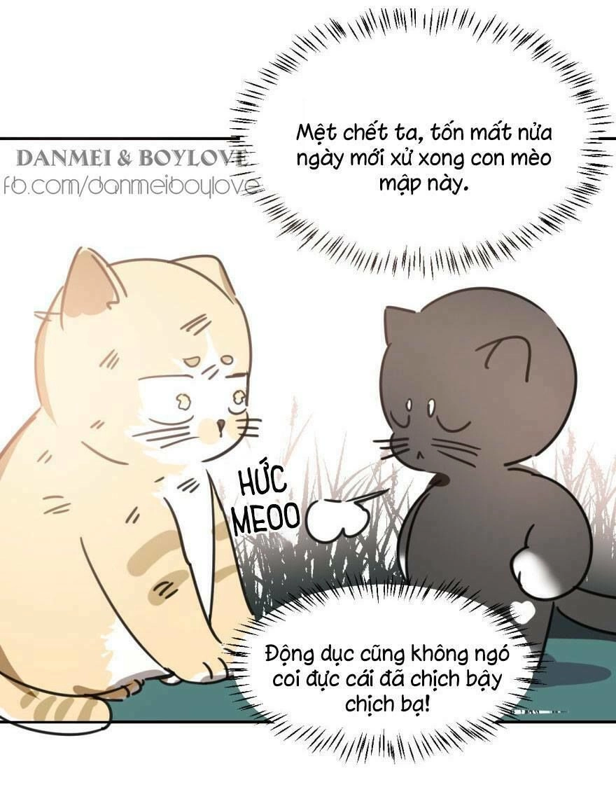 Truy Bắt Ngao Ngao Chapter 25 - 49