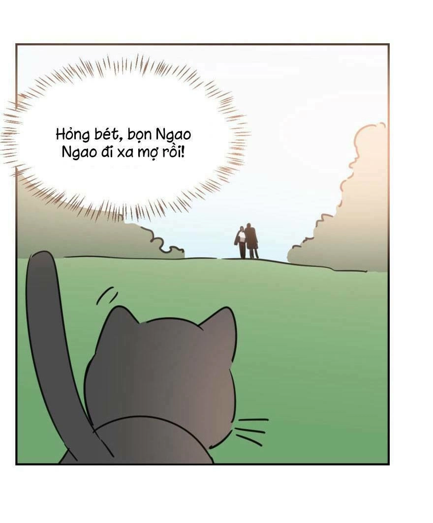Truy Bắt Ngao Ngao Chapter 25 - 50