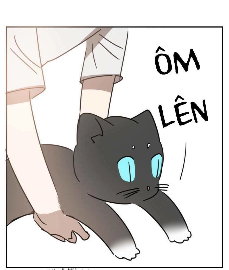 Truy Bắt Ngao Ngao Chapter 25 - 52