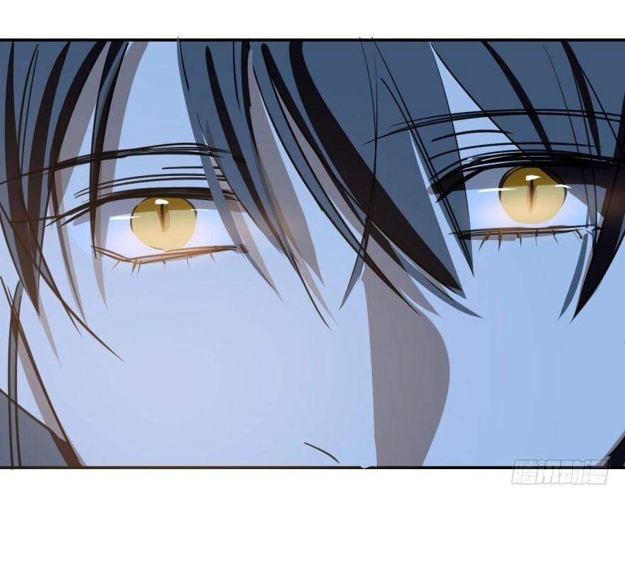 Truy Bắt Ngao Ngao Chapter 38 - 13