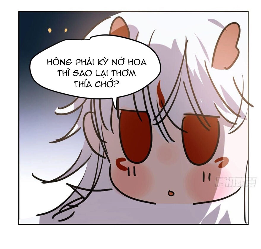 Truy Bắt Ngao Ngao Chapter 41.1 - 7
