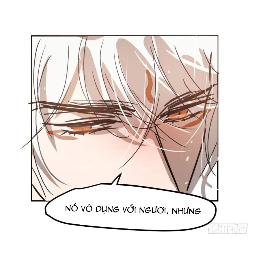 Truy Bắt Ngao Ngao Chapter 43 - 60