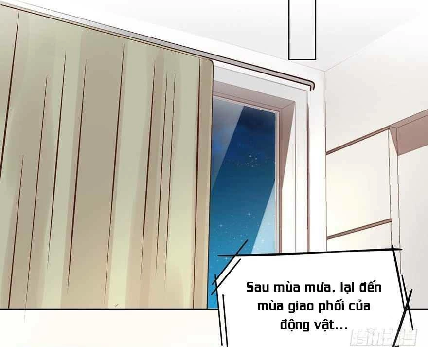 Ông Bố Đơn Thân Hàng Tỷ Chapter 137 - 9