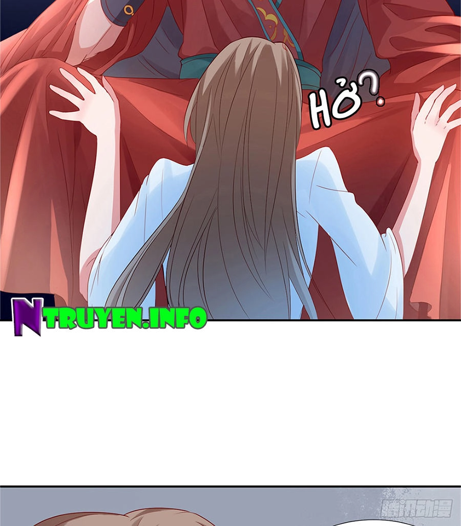 Hoàng Phi 9000 Tuổi Chapter 3 - 8