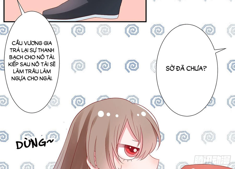 Hoàng Phi 9000 Tuổi Chapter 4 - 4