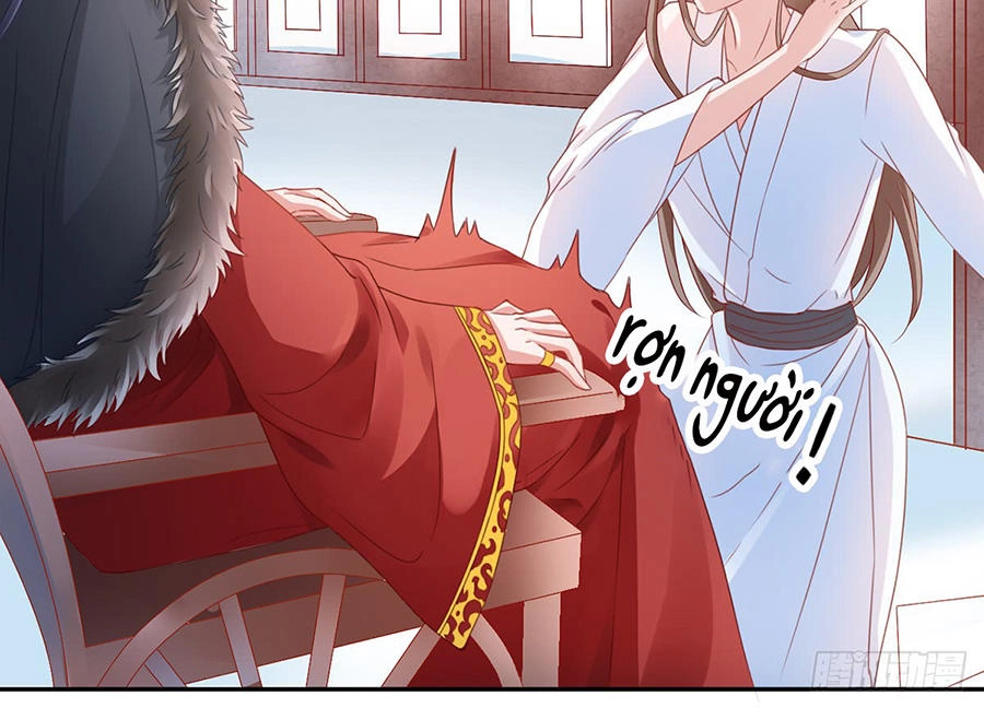 Hoàng Phi 9000 Tuổi Chapter 4 - 6