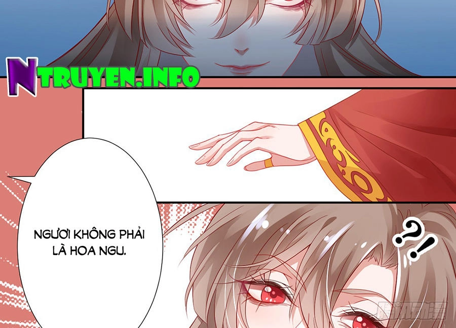 Hoàng Phi 9000 Tuổi Chapter 4 - 9