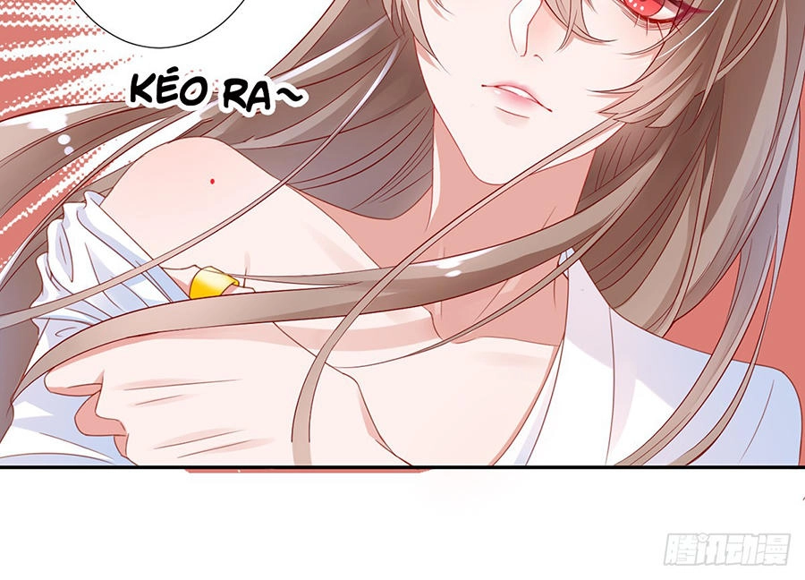 Hoàng Phi 9000 Tuổi Chapter 4 - 10