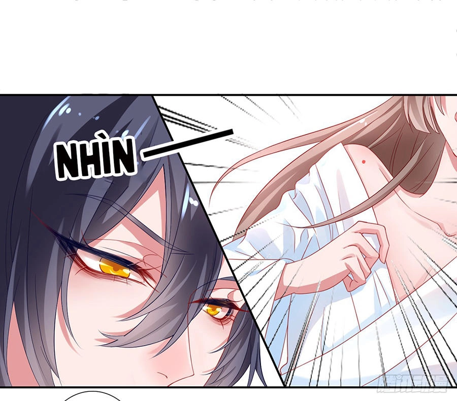 Hoàng Phi 9000 Tuổi Chapter 4 - 11