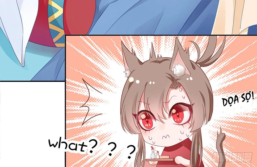 Hoàng Phi 9000 Tuổi Chapter 6 - 35