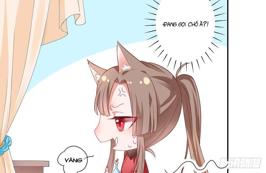 Hoàng Phi 9000 Tuổi Chapter 6 - 37