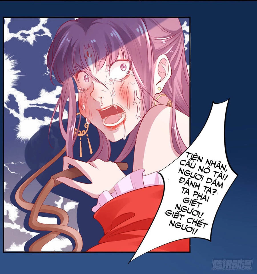 Hoàng Phi 9000 Tuổi Chapter 9 - 16