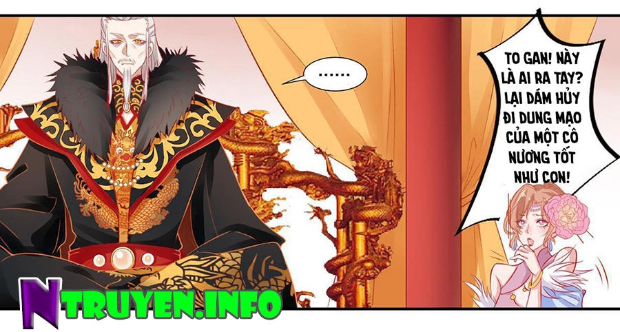 Hoàng Phi 9000 Tuổi Chapter 11 - 8