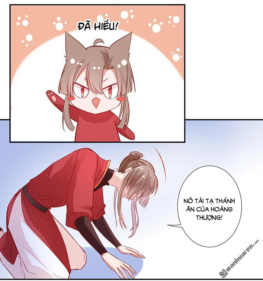 Hoàng Phi 9000 Tuổi Chapter 11 - 25