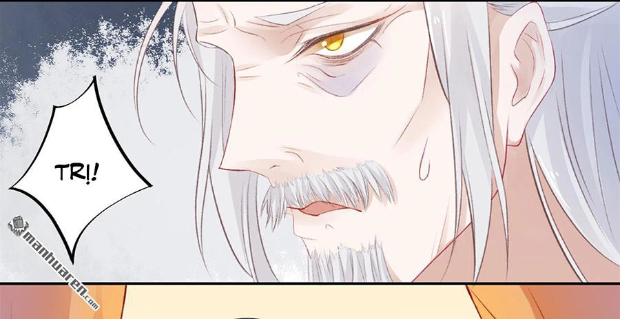 Hoàng Phi 9000 Tuổi Chapter 13 - 11