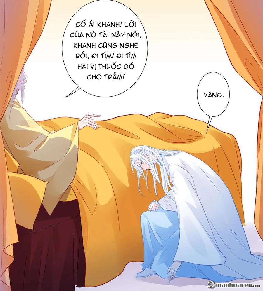 Hoàng Phi 9000 Tuổi Chapter 13 - 12