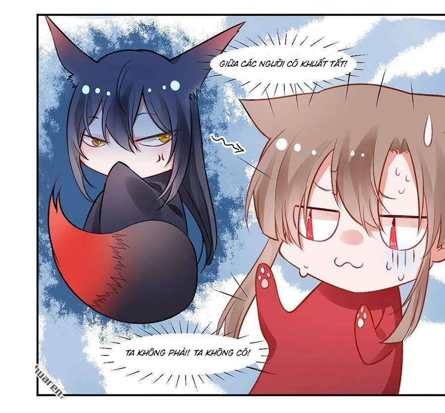 Hoàng Phi 9000 Tuổi Chapter 14 - 11