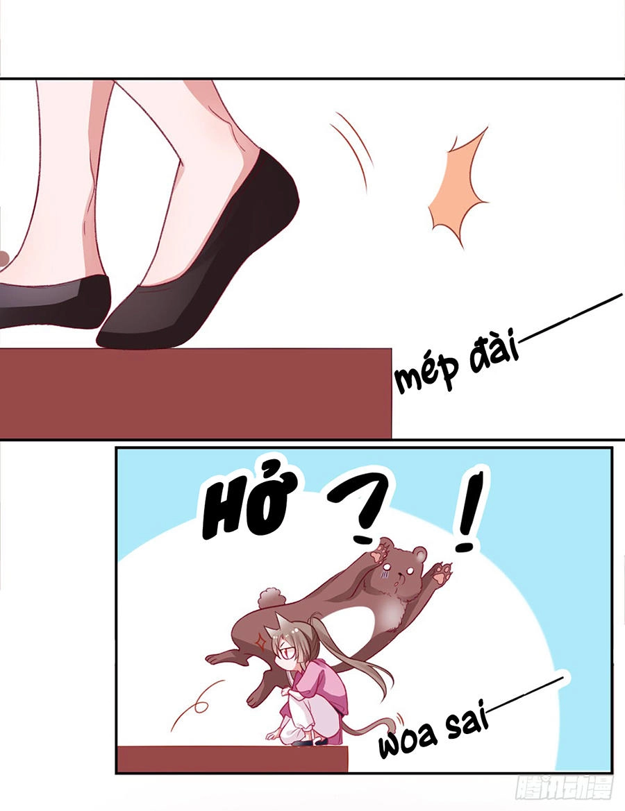 Hoàng Phi 9000 Tuổi Chapter 17 - 14