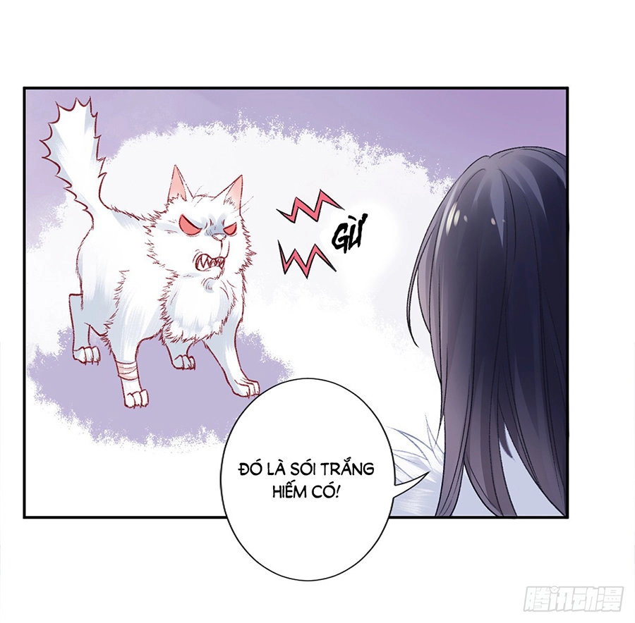 Hoàng Phi 9000 Tuổi Chapter 19 - 17