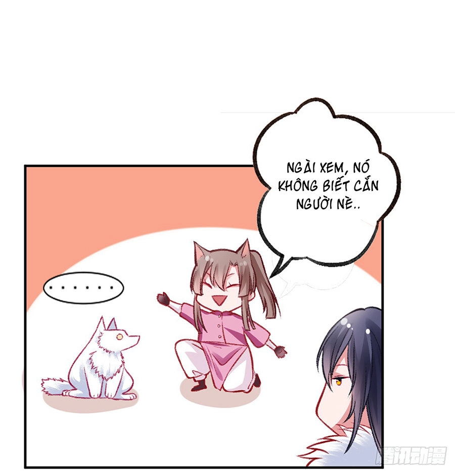 Hoàng Phi 9000 Tuổi Chapter 19 - 21