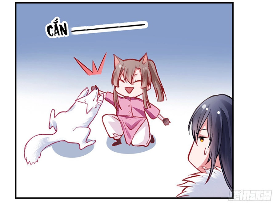 Hoàng Phi 9000 Tuổi Chapter 19 - 22