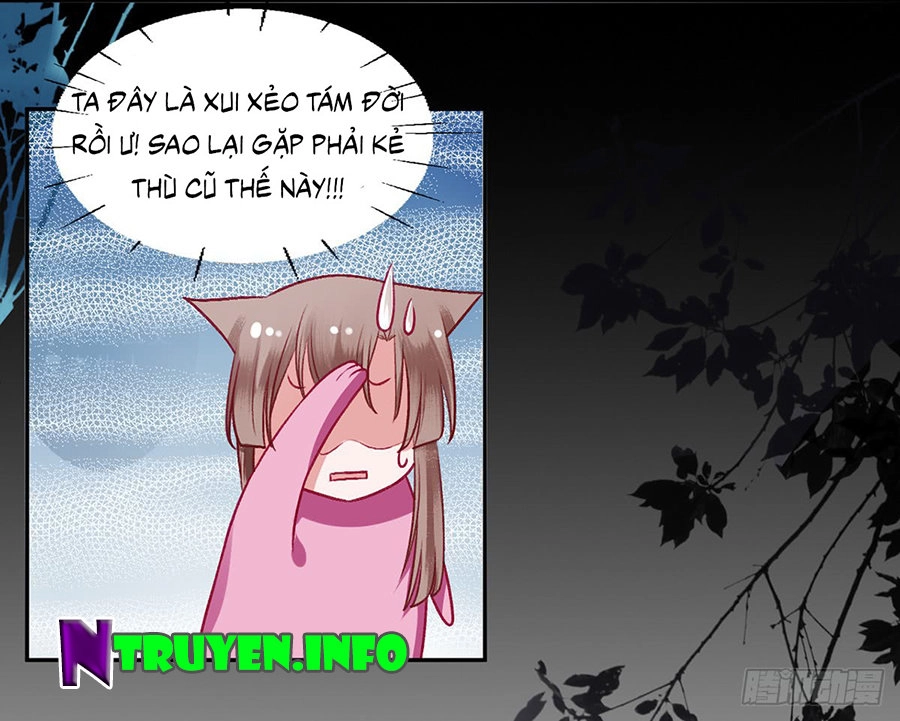 Hoàng Phi 9000 Tuổi Chapter 20 - 20