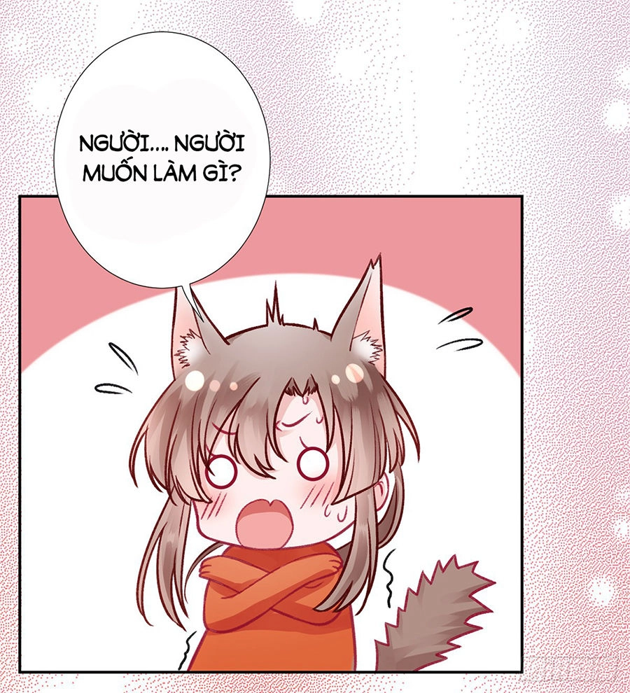 Hoàng Phi 9000 Tuổi Chapter 28 - 22