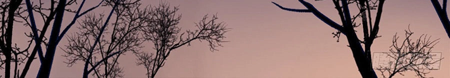 Hoàng Phi 9000 Tuổi Chapter 29 - 15