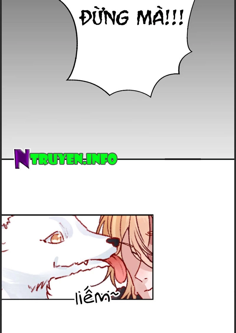 Hoàng Phi 9000 Tuổi Chapter 35 - 6