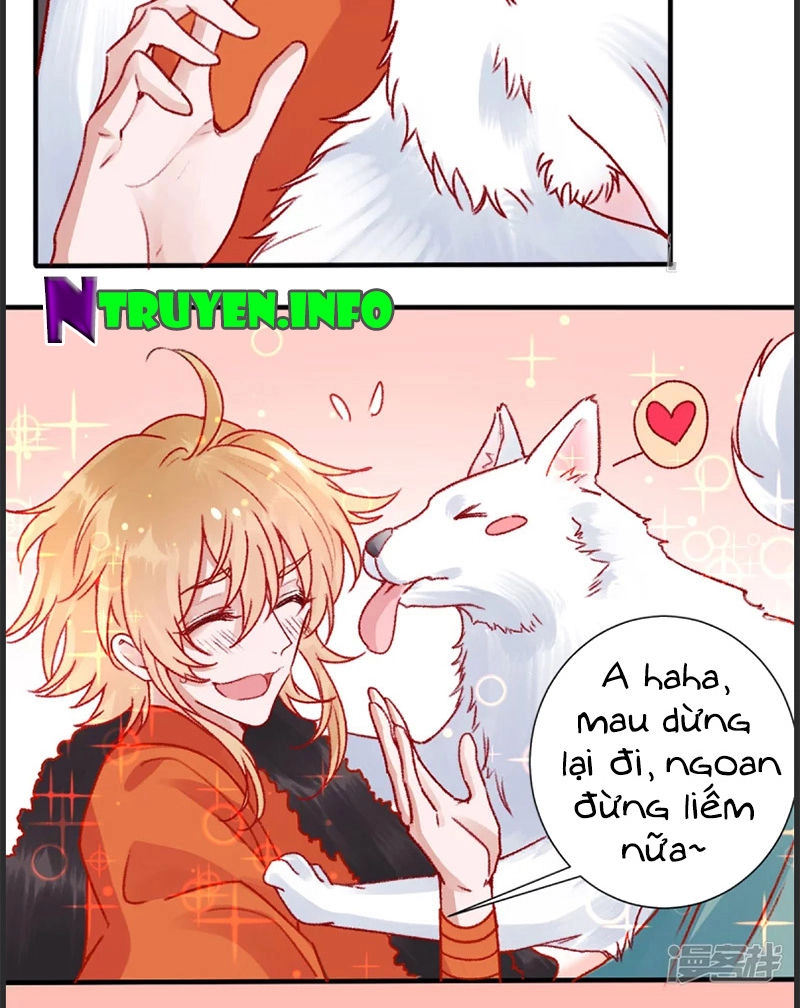 Hoàng Phi 9000 Tuổi Chapter 35 - 11