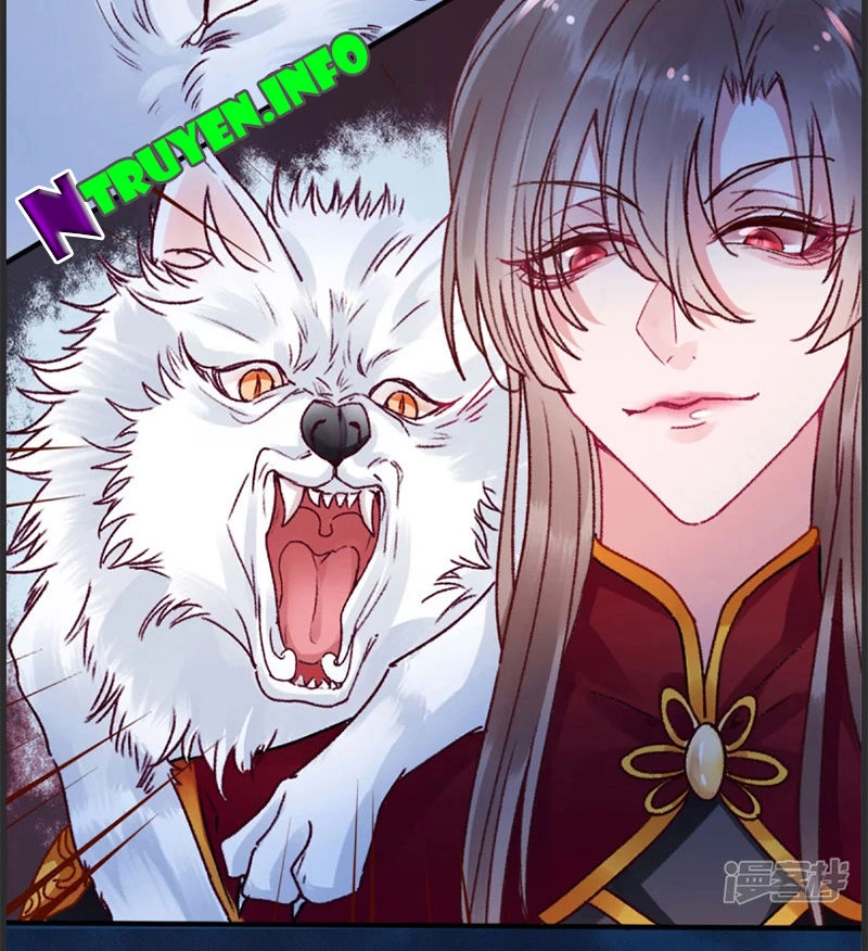 Hoàng Phi 9000 Tuổi Chapter 35 - 22