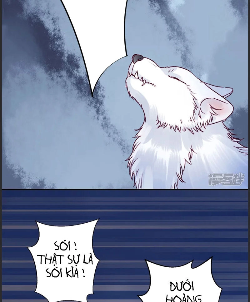 Hoàng Phi 9000 Tuổi Chapter 35 - 24