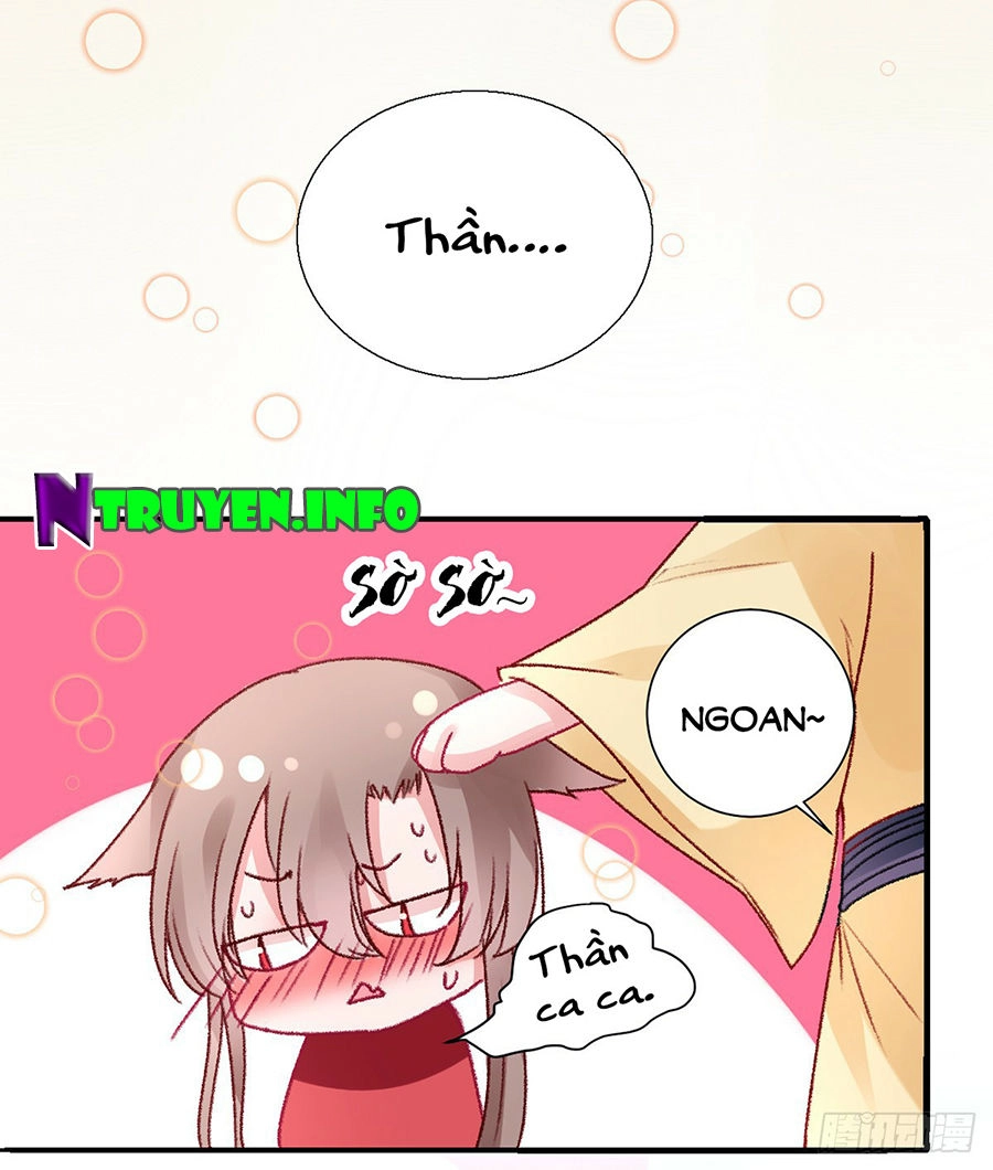 Hoàng Phi 9000 Tuổi Chapter 39 - 13