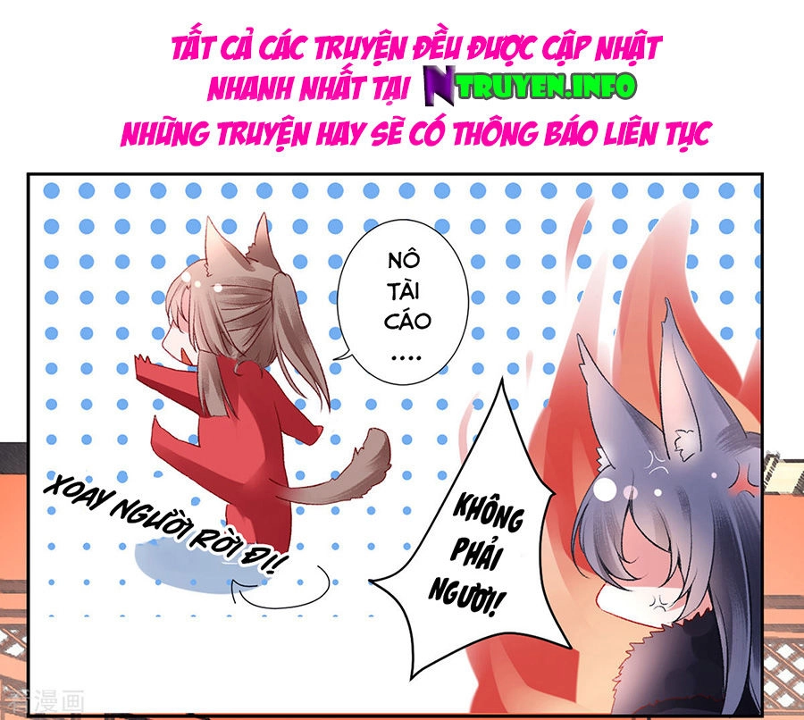 Hoàng Phi 9000 Tuổi Chapter 41 - 26