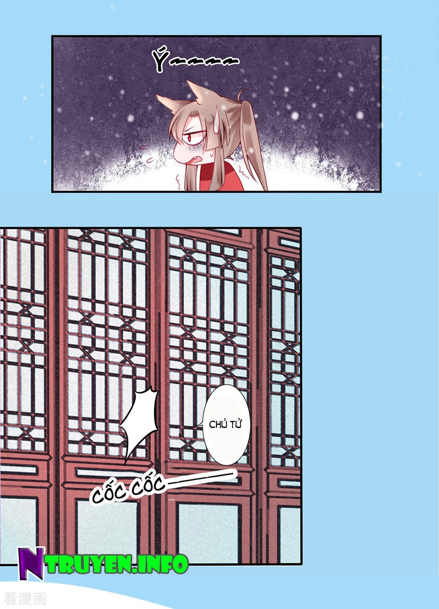 Hoàng Phi 9000 Tuổi Chapter 43 - 3