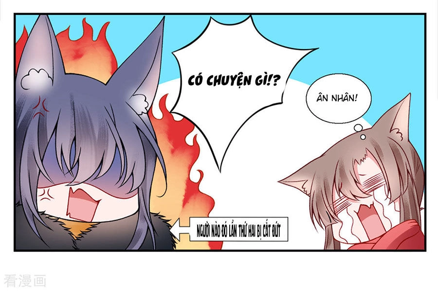 Hoàng Phi 9000 Tuổi Chapter 44 - 13