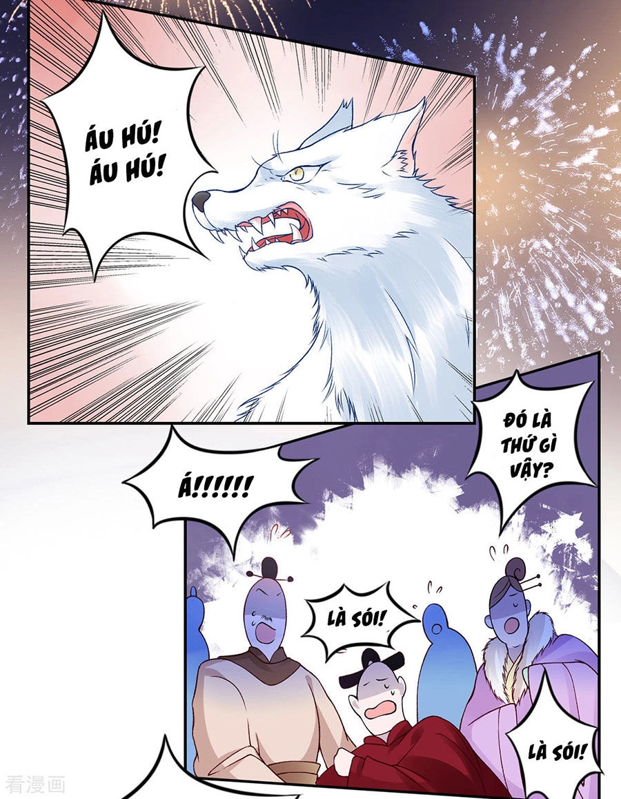 Hoàng Phi 9000 Tuổi Chapter 45 - 5