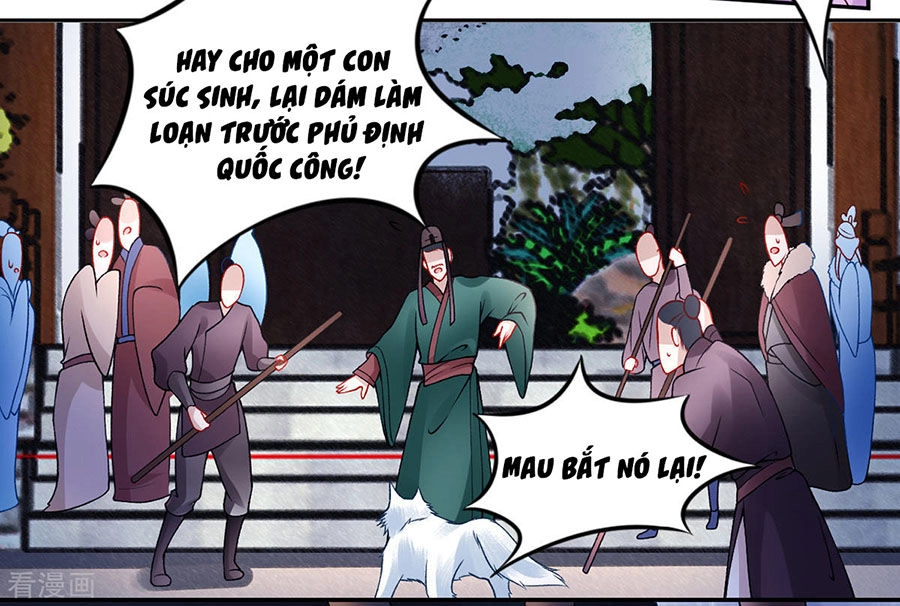 Hoàng Phi 9000 Tuổi Chapter 45 - 6