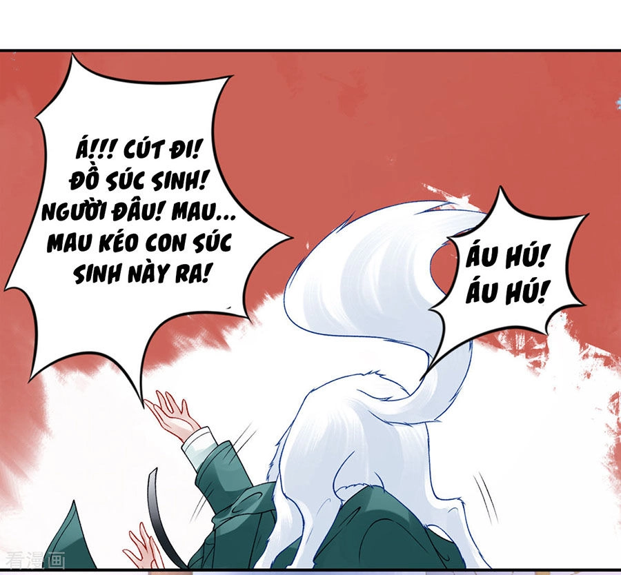 Hoàng Phi 9000 Tuổi Chapter 45 - 11