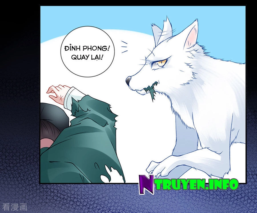 Hoàng Phi 9000 Tuổi Chapter 45 - 14