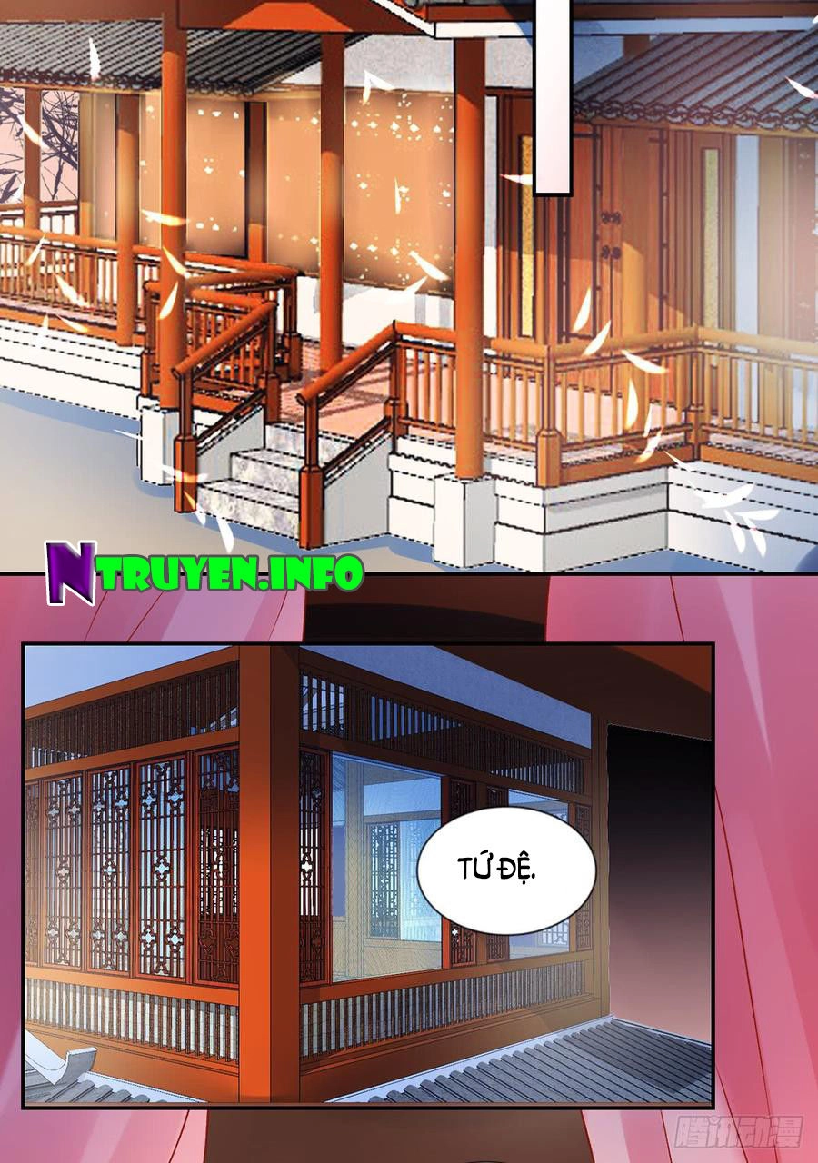 Hoàng Phi 9000 Tuổi Chapter 53 - 6