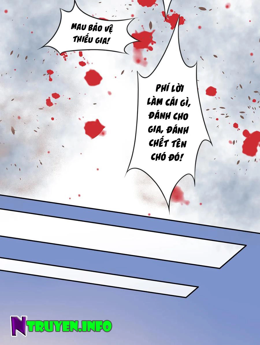 Hoàng Phi 9000 Tuổi Chapter 61 - 8