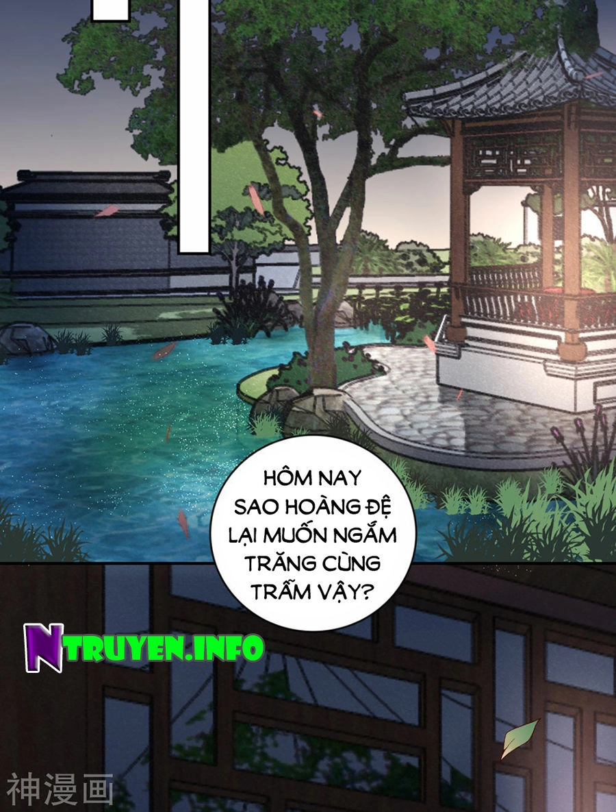 Hoàng Phi 9000 Tuổi Chapter 66 - 18